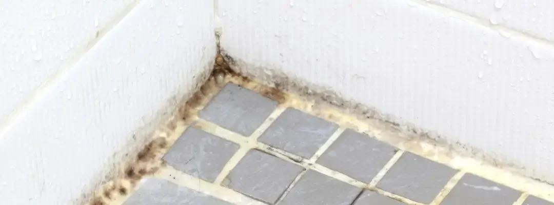 Why Gold Coast Bathrooms Get Mould & How to Prevent It