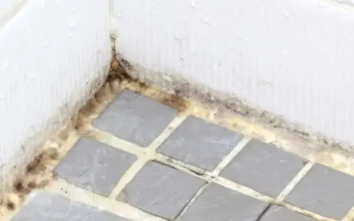 Why Gold Coast Bathrooms Get Mould & How to Prevent It
