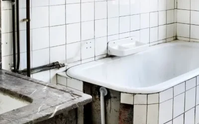 9 Nasty Surprises Lurking Behind Old Bathrooms
